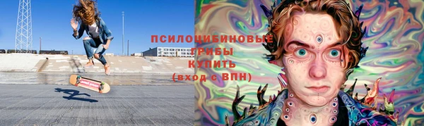 ПСИЛОЦИБИНОВЫЕ ГРИБЫ Балабаново